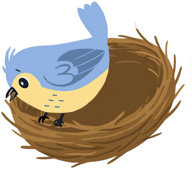 A bluebird looking down into an empty nest
